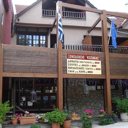 Hotel Koziakas Eláti المظهر الخارجي الصورة